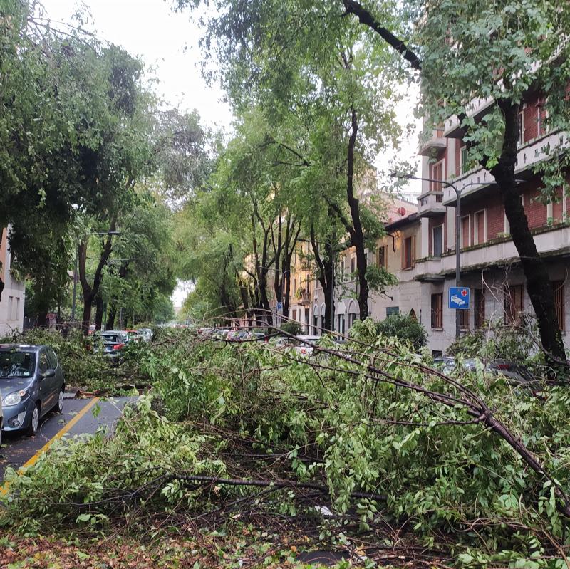 Fotosegnalazione di Milano de angeli