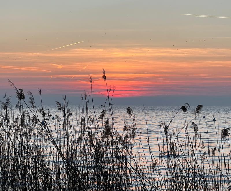 Fotosegnalazione di Bardolino