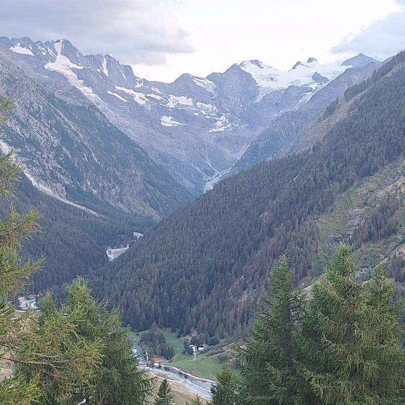 Fotosegnalazione di Gimillan
