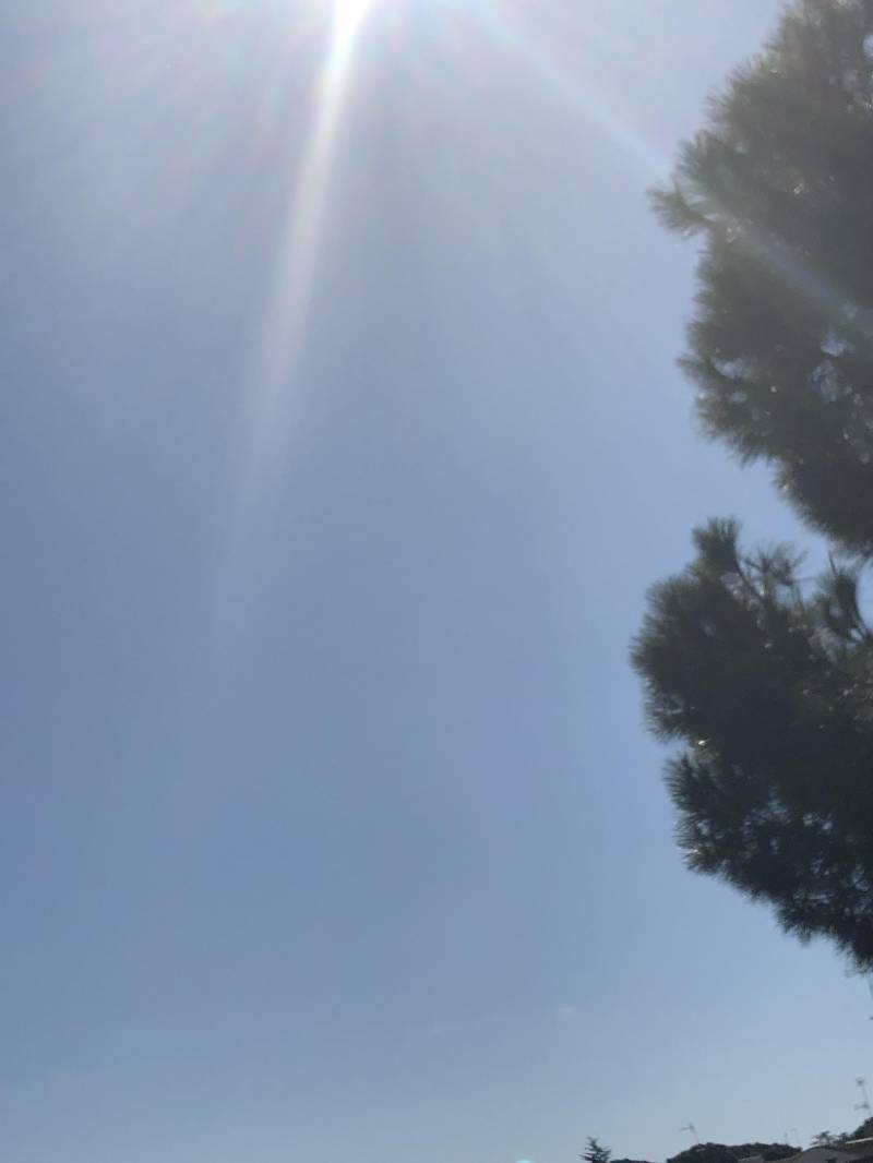 Cielo nuovo salario