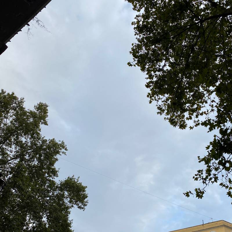 Fotosegnalazione di Roma salario