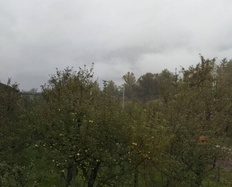 piove decisamente