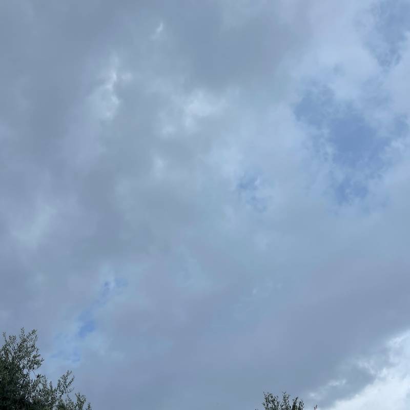 Fotosegnalazione di Roma torrino