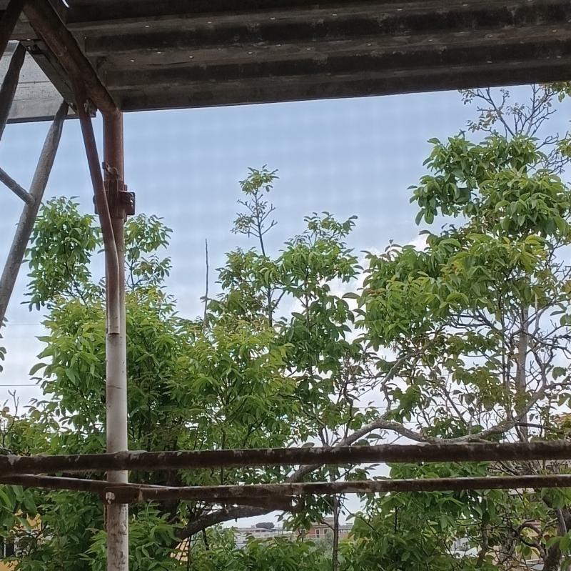Fotosegnalazione di Santa maria la carita'