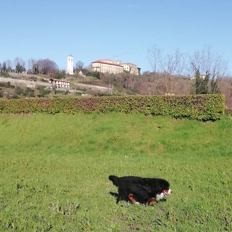 giornata bellissima per stare all'aperto
