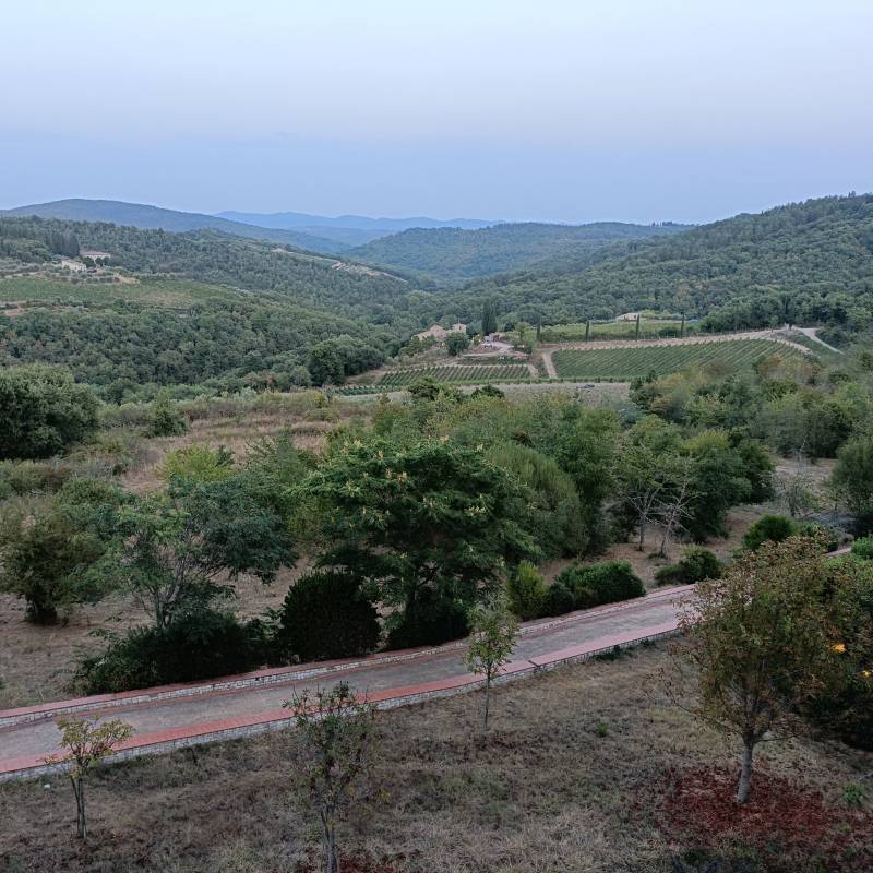 Fotosegnalazione di Castellina in chianti