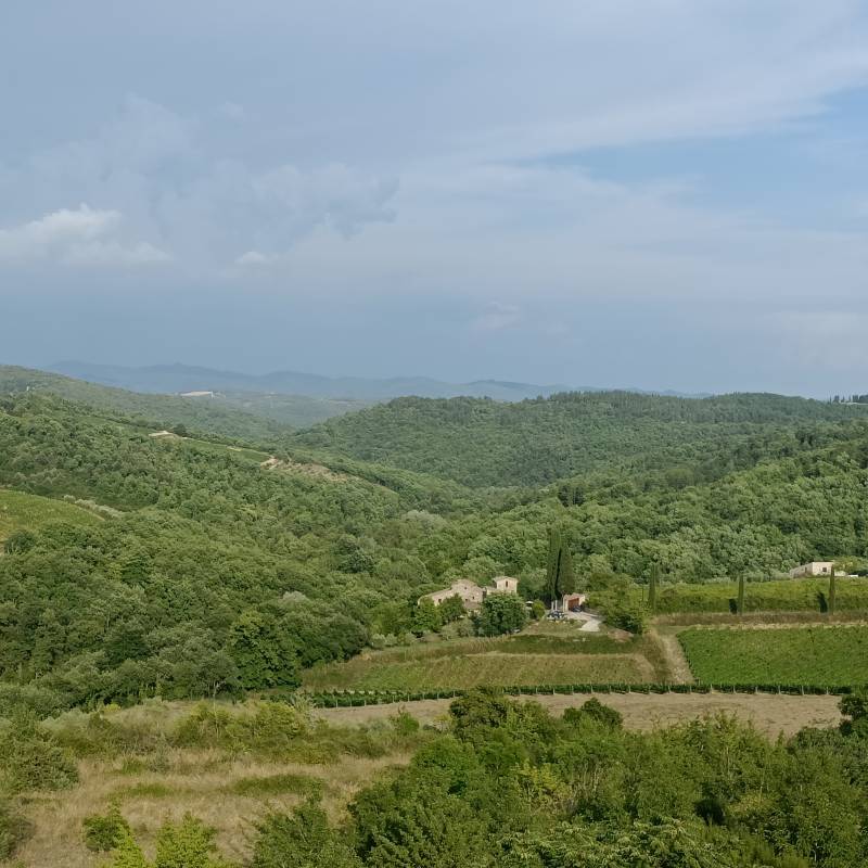 Serata estiva