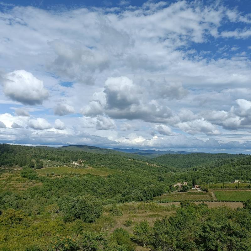 Fotosegnalazione di Castellina in chianti