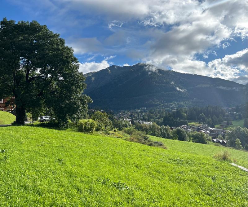 Fotosegnalazione di Temu'