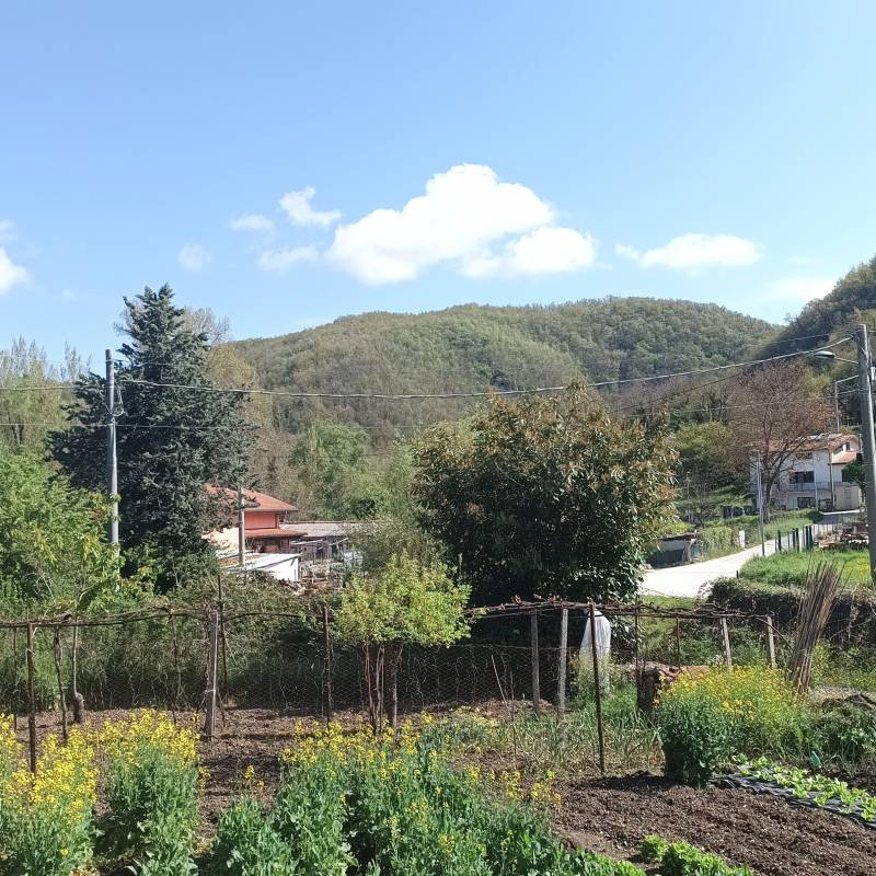 Fotosegnalazione di Carpinone