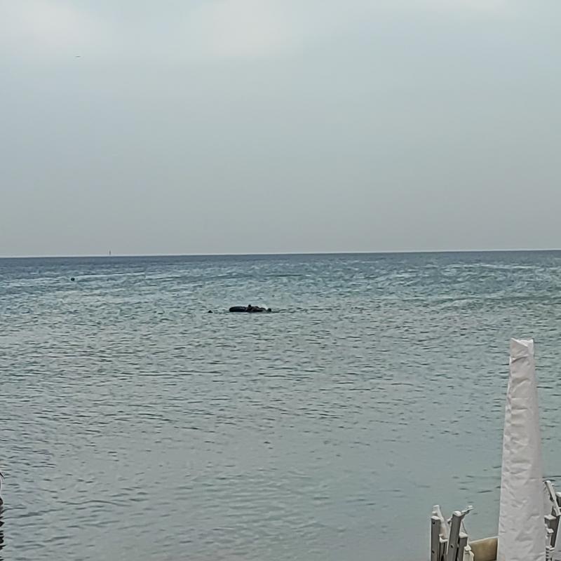 Fotosegnalazione di Brindisi nord