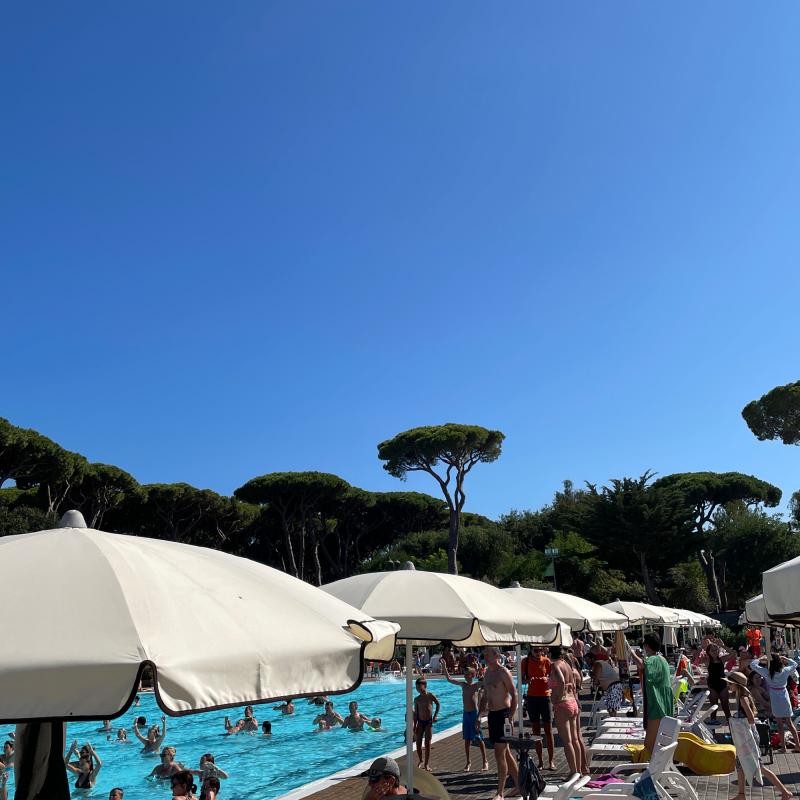 Fotosegnalazione di San vincenzo
