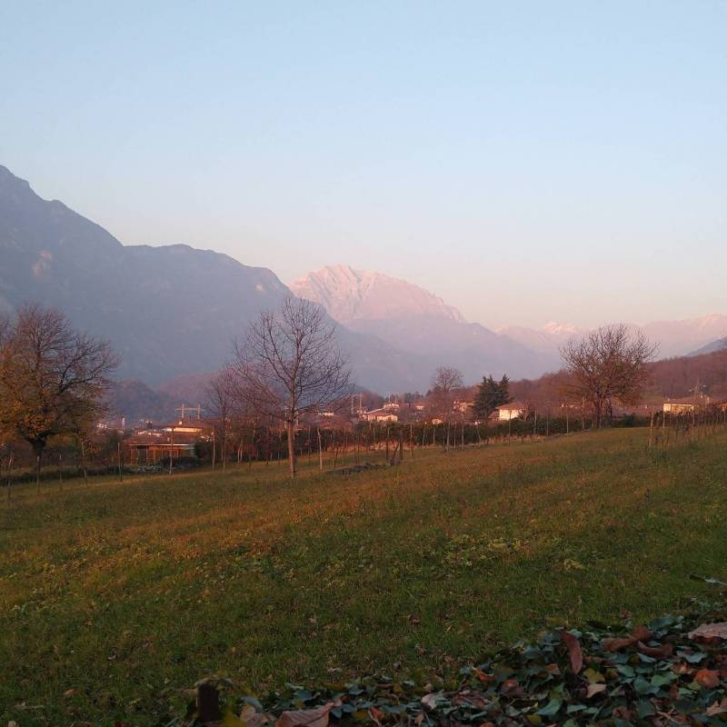Fotosegnalazione di Darfo boario terme