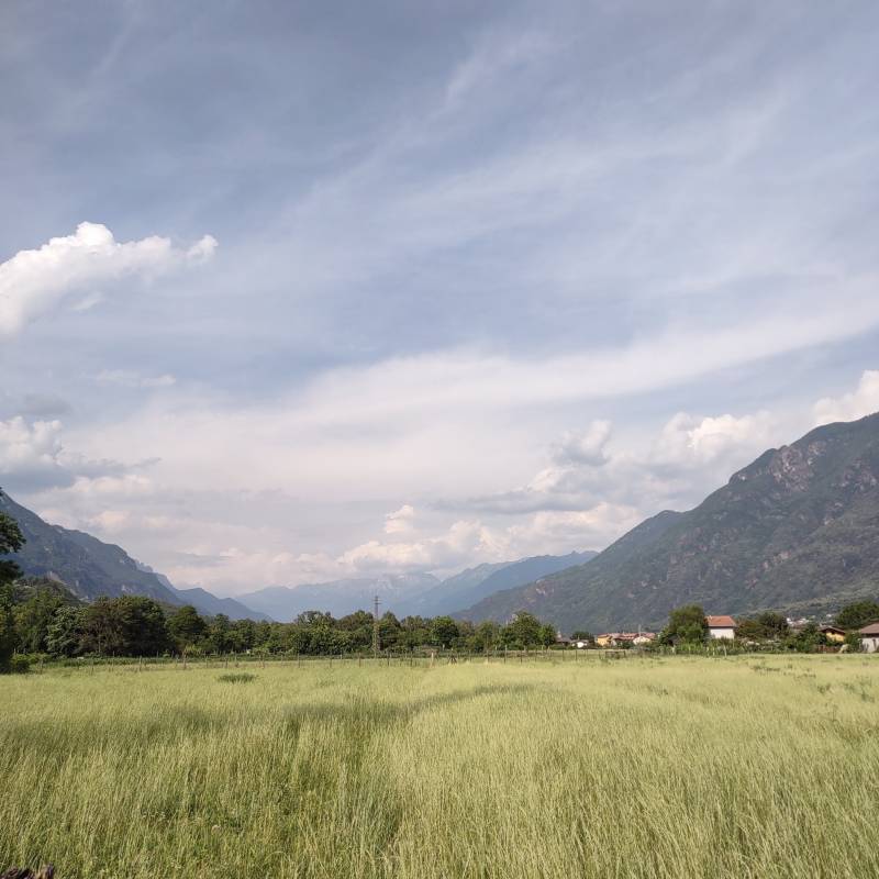 Fotosegnalazione di Darfo boario terme