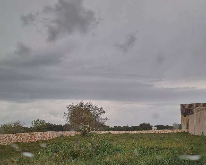 si prepara al diluvio