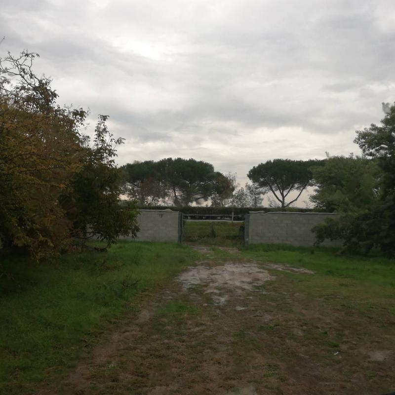 Fotosegnalazione di Stagno