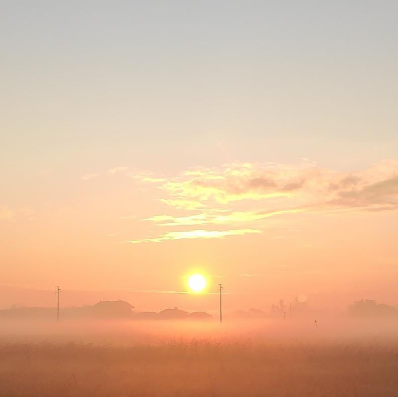 Si alza il sole sopra la bruma
