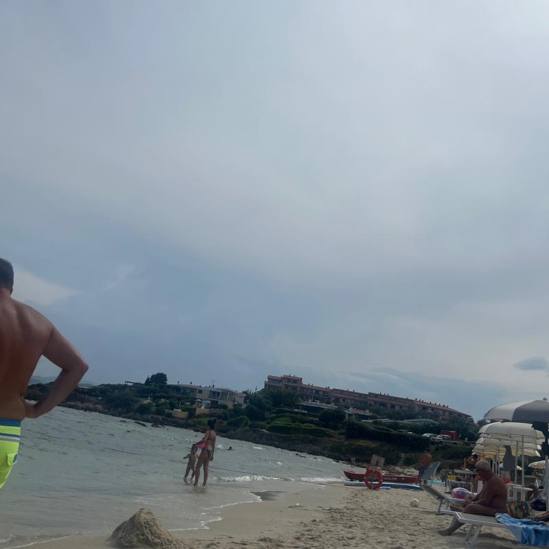 Fotosegnalazione di Olbia pittolongu - osseddu