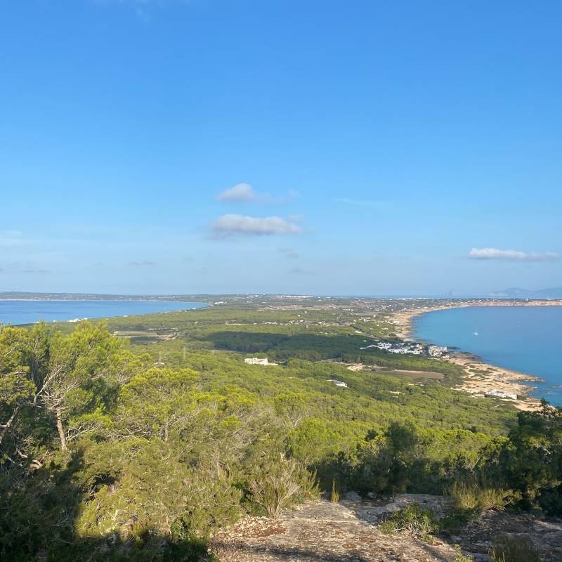 Fotosegnalazione di Playa migjorn