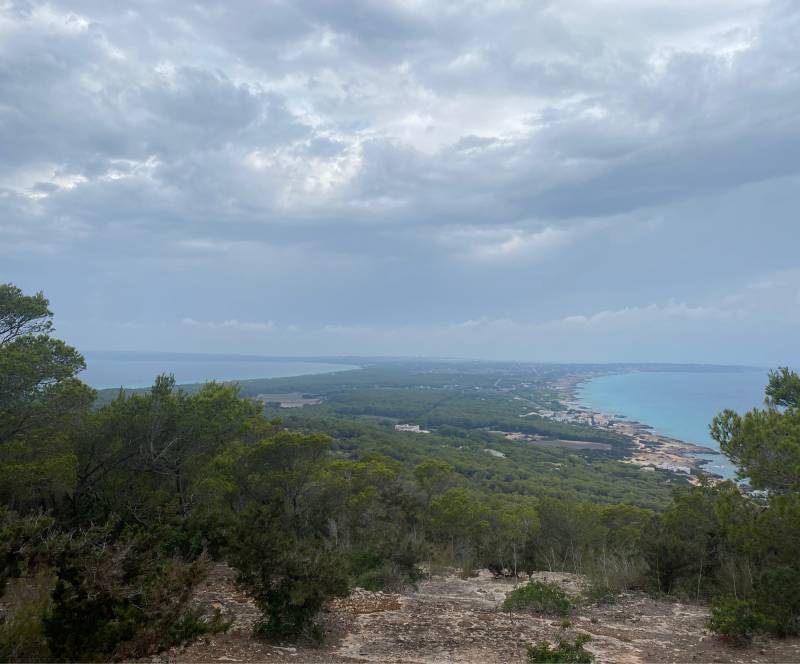 Fotosegnalazione di Playa migjorn