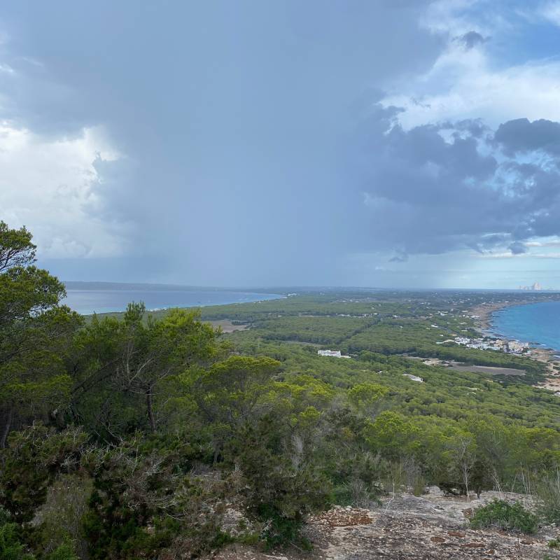 Fotosegnalazione di Playa migjorn