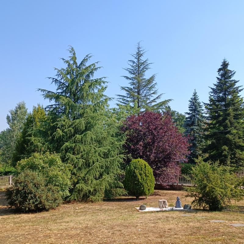 Fotosegnalazione di Pralormo