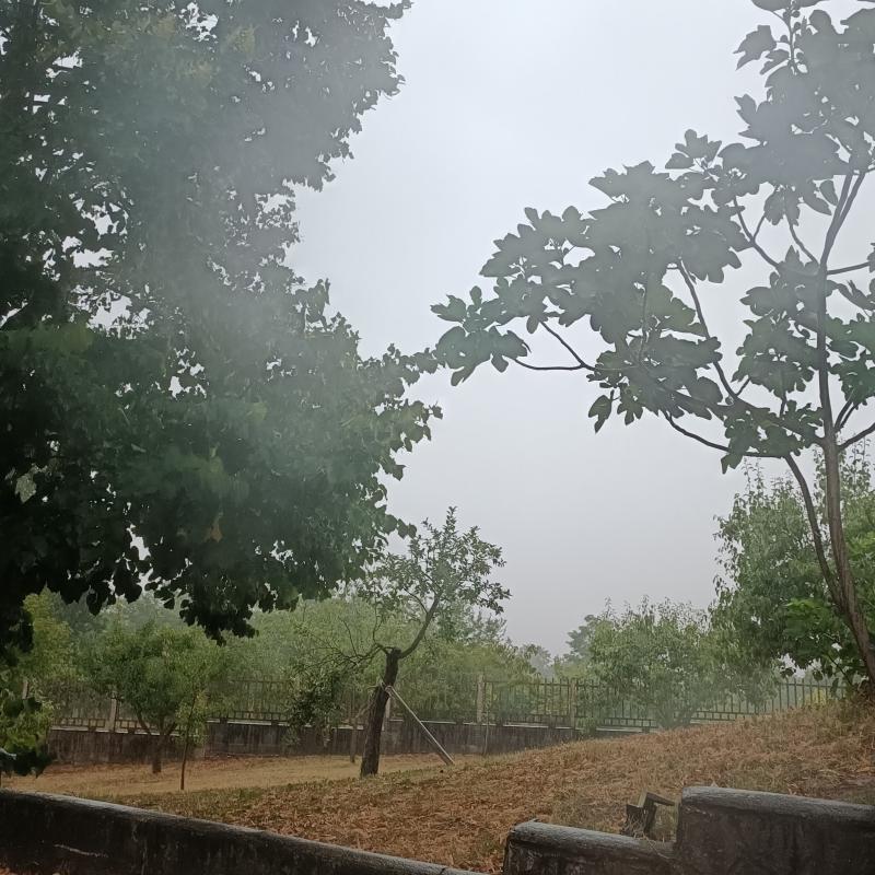Fotosegnalazione di Pralormo