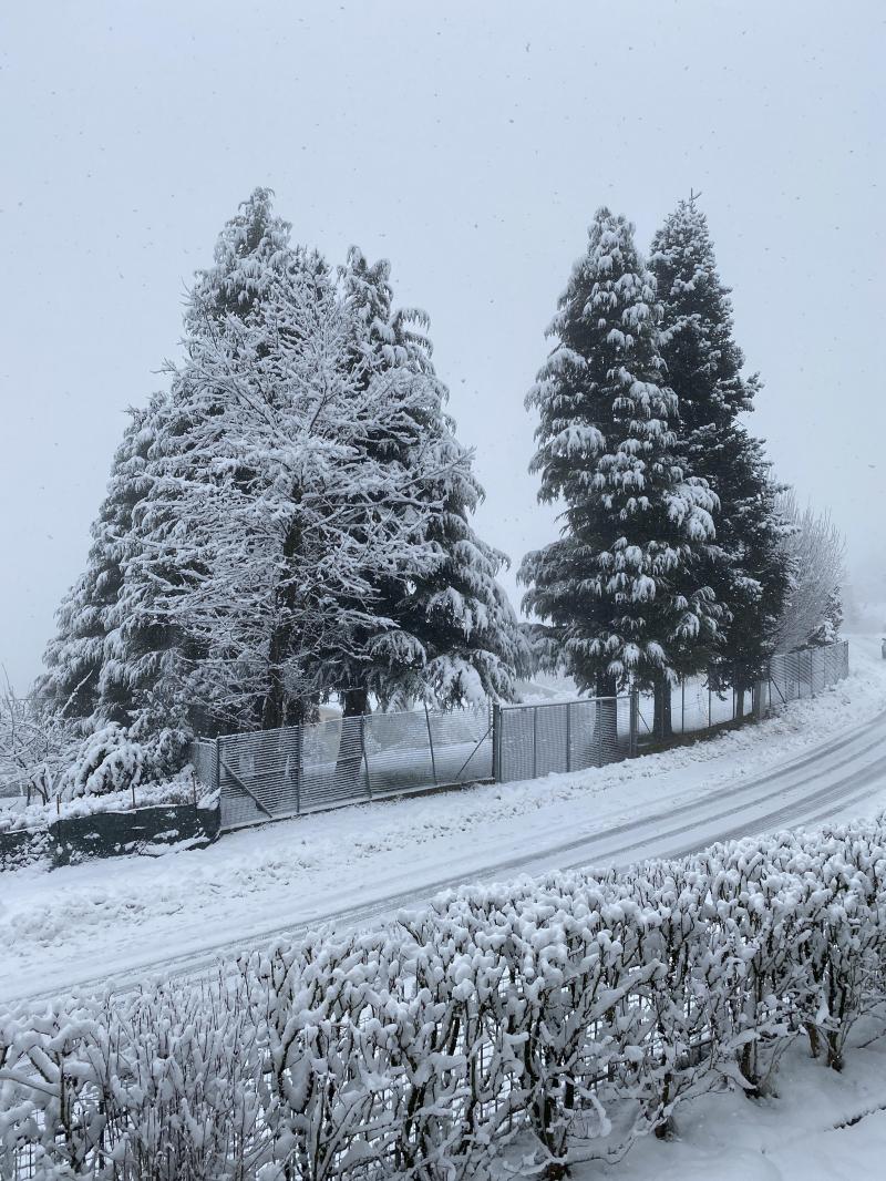 Nevicata del 5 gennaio 2021