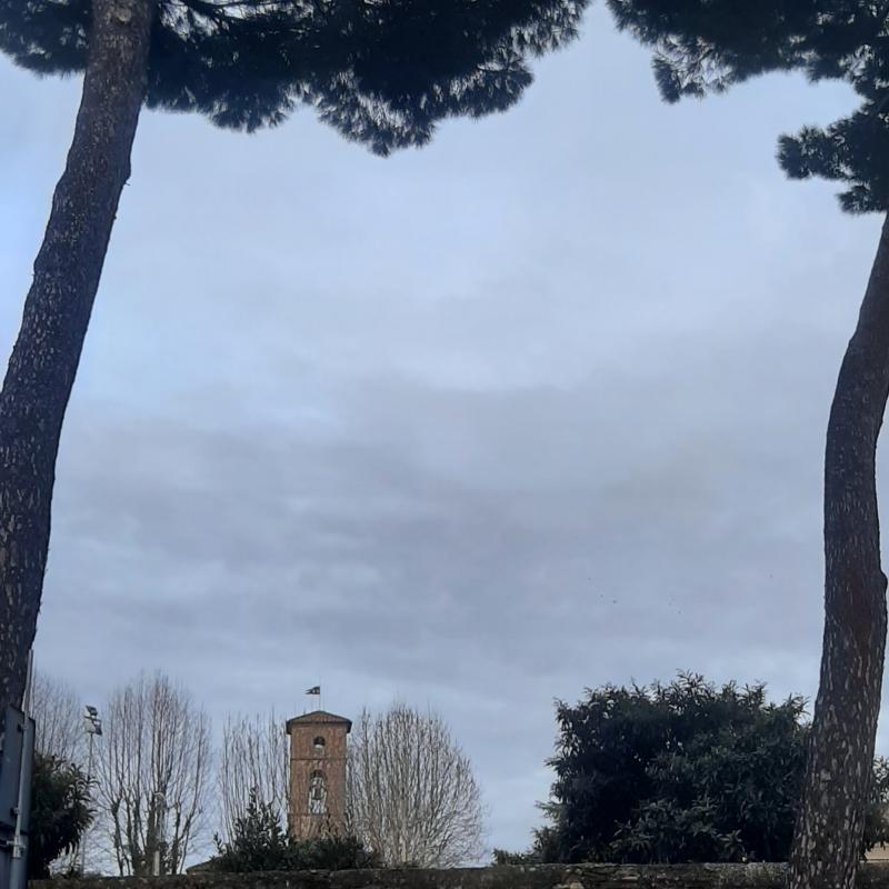 Fotosegnalazione di Firenze campo di marte