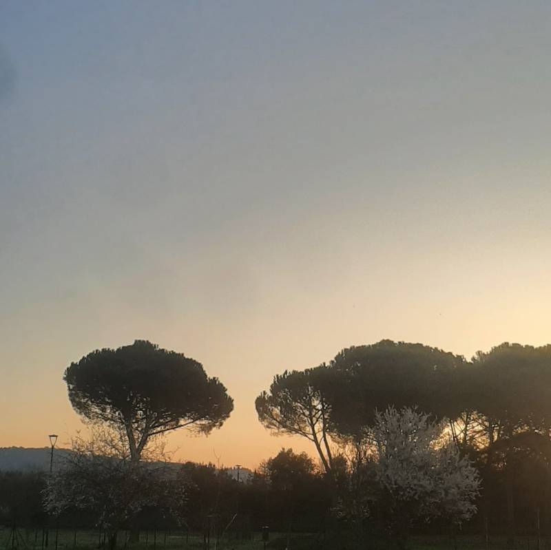 Fotosegnalazione di Firenze campo di marte