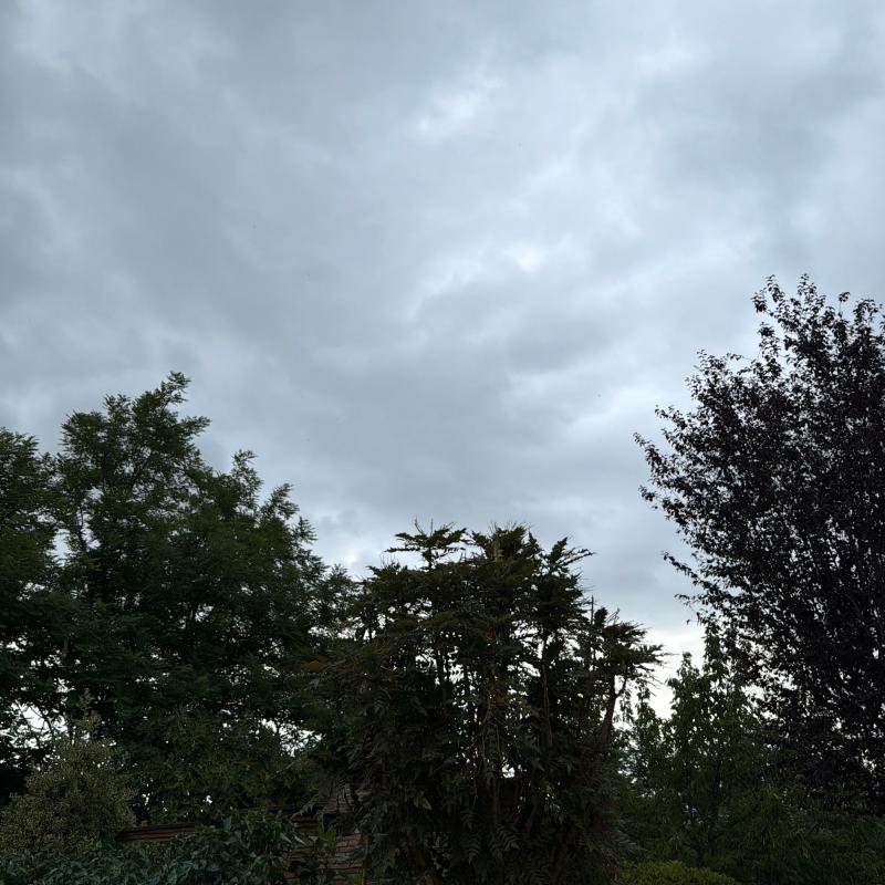Pioggia debole