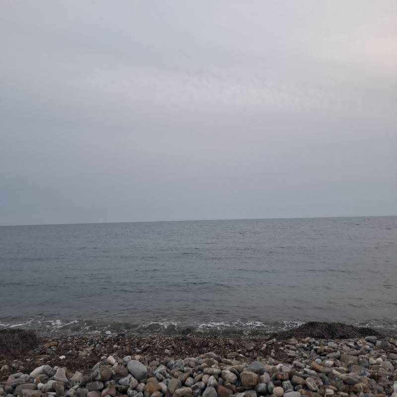 Fotosegnalazione di Civitavecchia