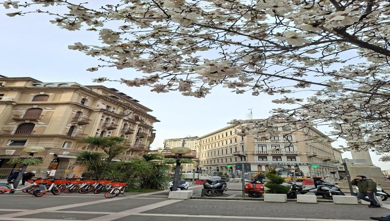 padova centro
