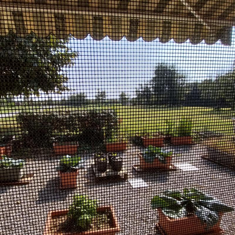 Prato e cielo blu