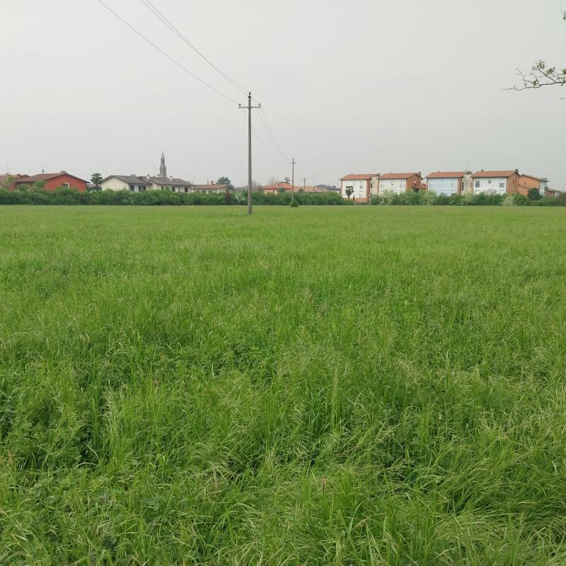 Fotosegnalazione di Martinengo