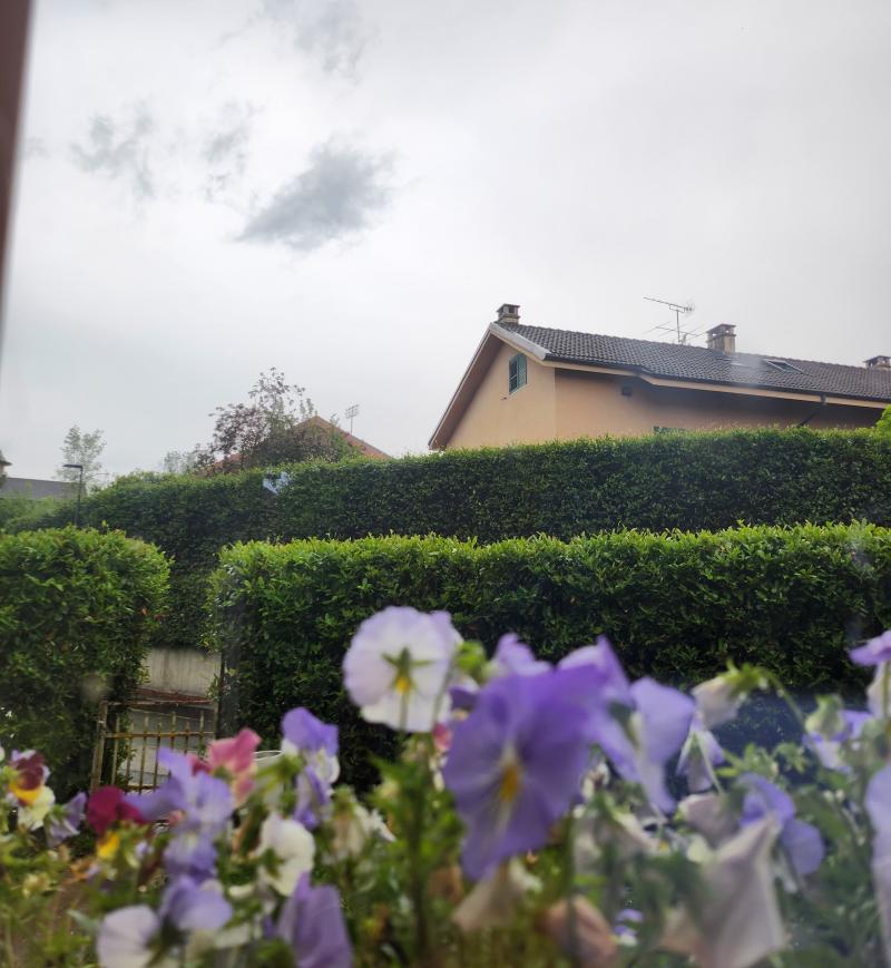 fiori e pioggia al principato d'ambrosia