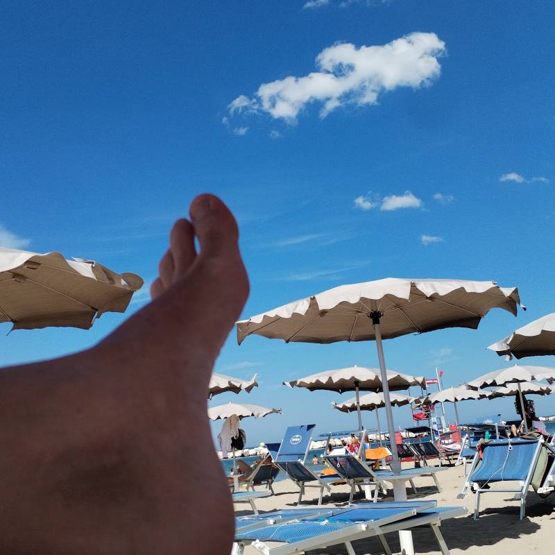 Fotosegnalazione di Cattolica