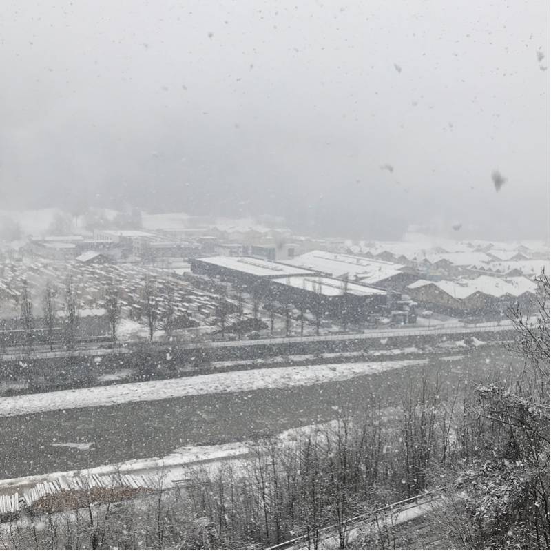 Nevicata in corso