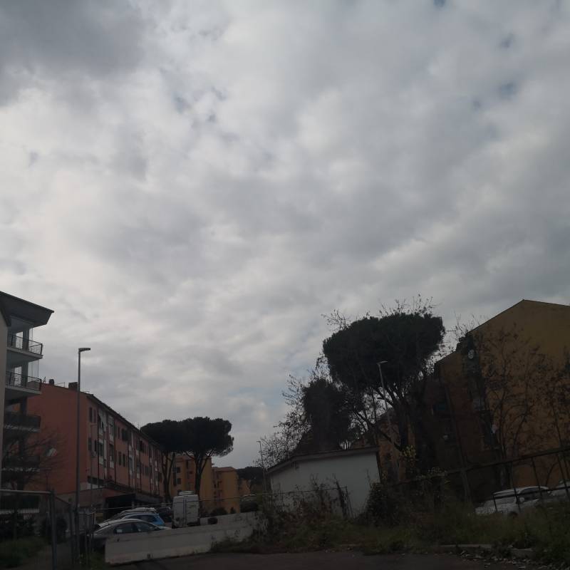 Fotosegnalazione di Roma rebibbia