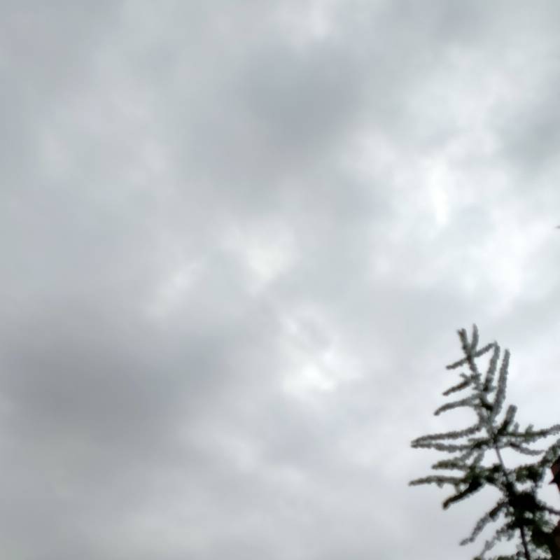Quasi pioggia a trezzano