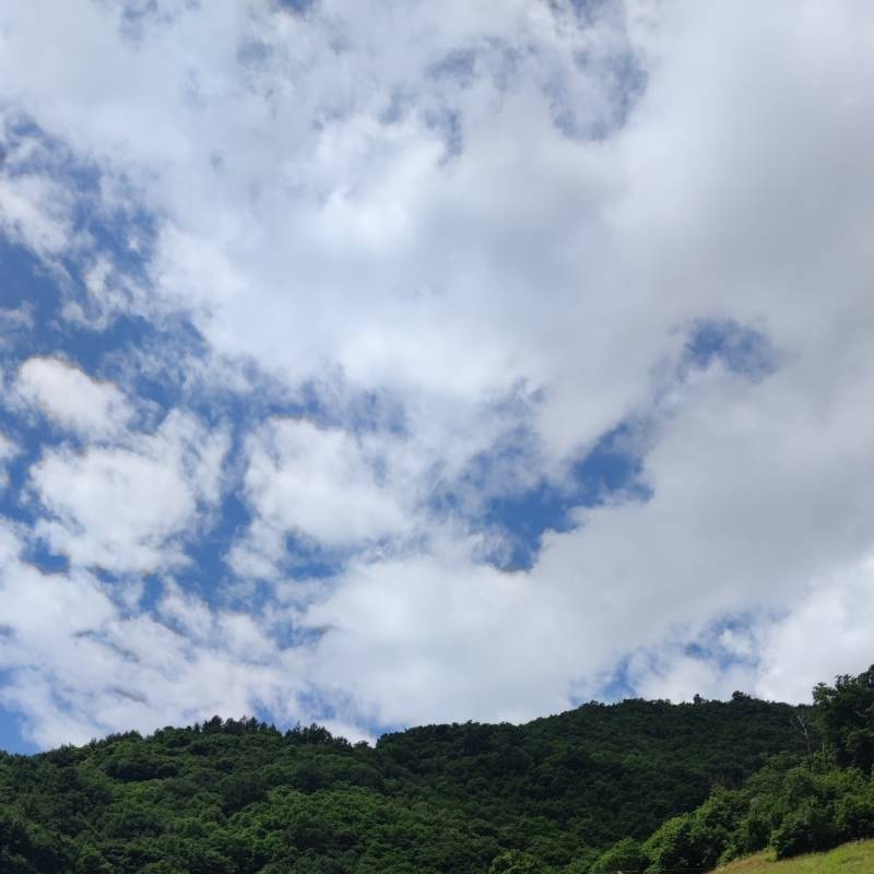 Fotosegnalazione di Adrara san martino