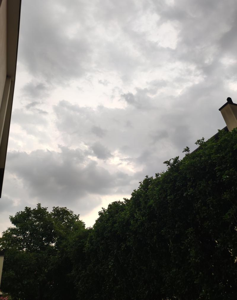 Falze' di Trevignano