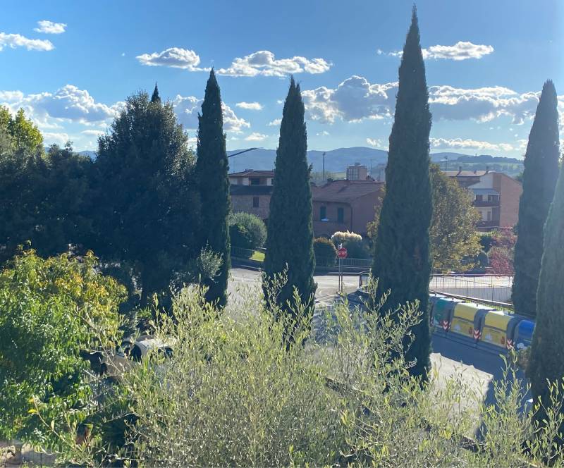 Fotosegnalazione di Buonconvento