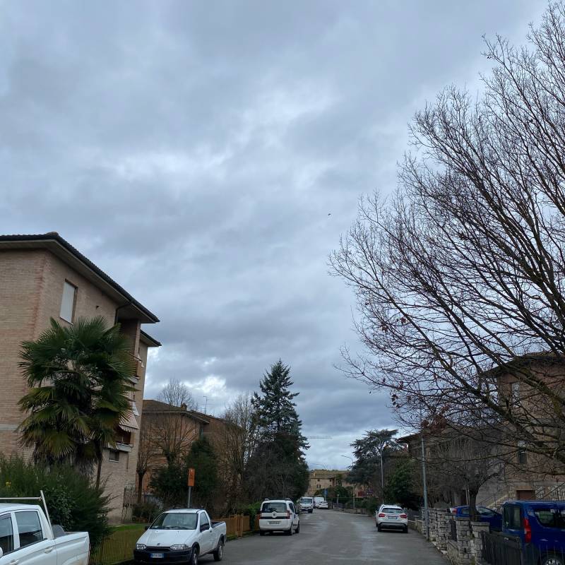Fotosegnalazione di Buonconvento