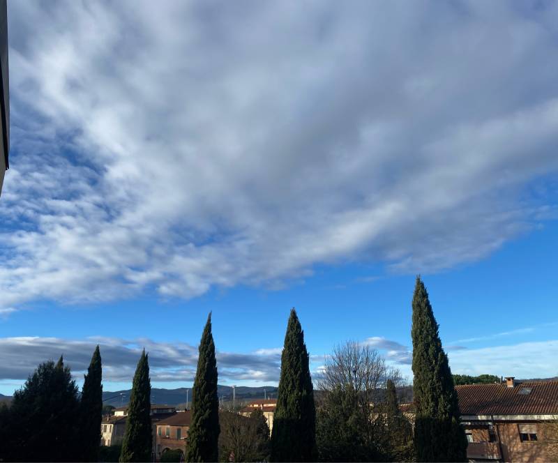 Fotosegnalazione di Buonconvento