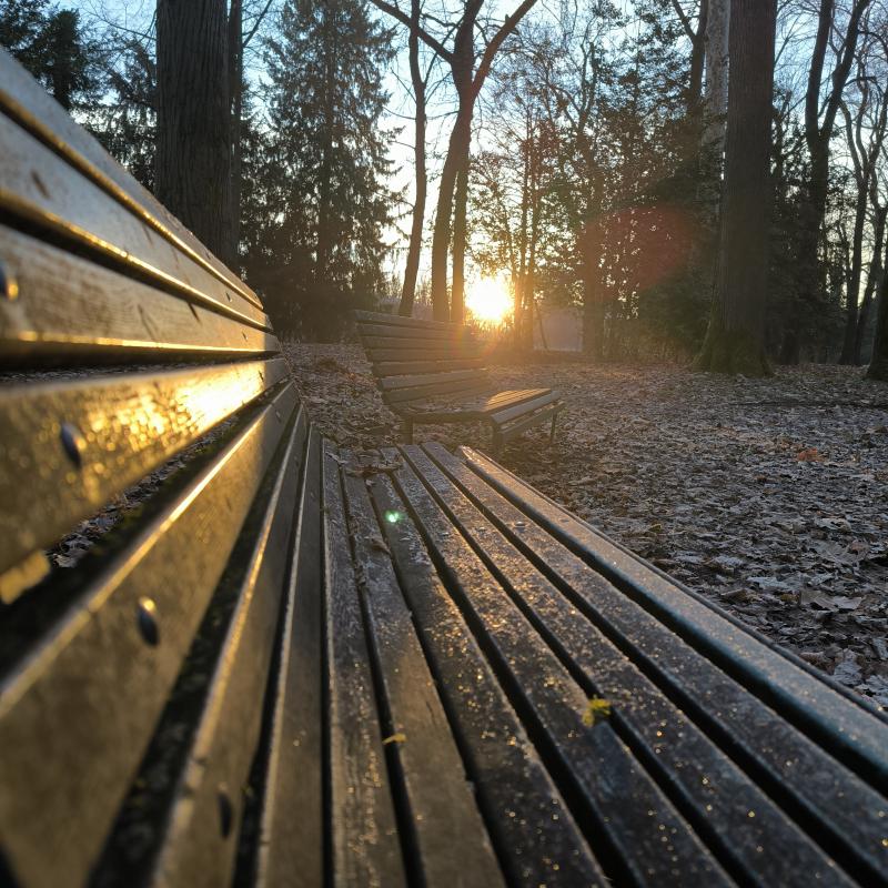 Parco villa tottoni