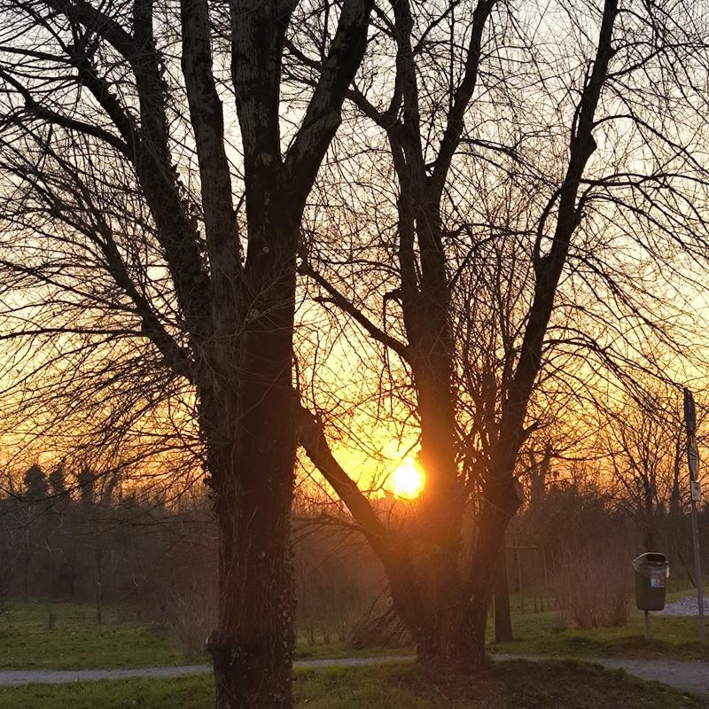 Fotosegnalazione di Desio