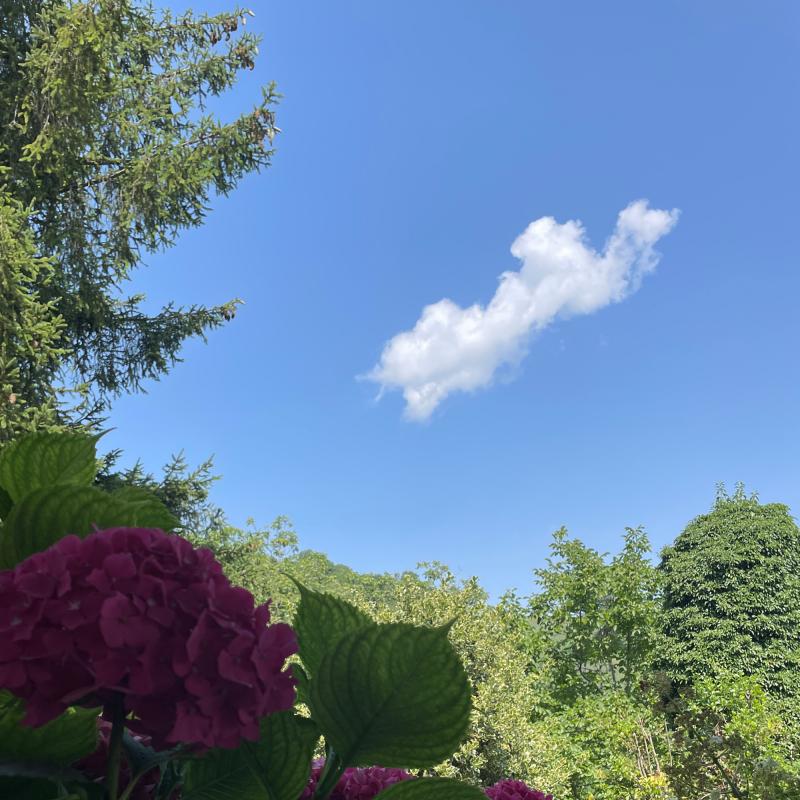 Fotosegnalazione di Neviano degli arduini