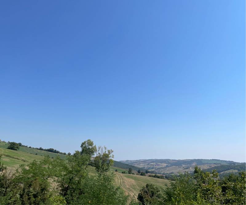 Fotosegnalazione di Neviano degli arduini