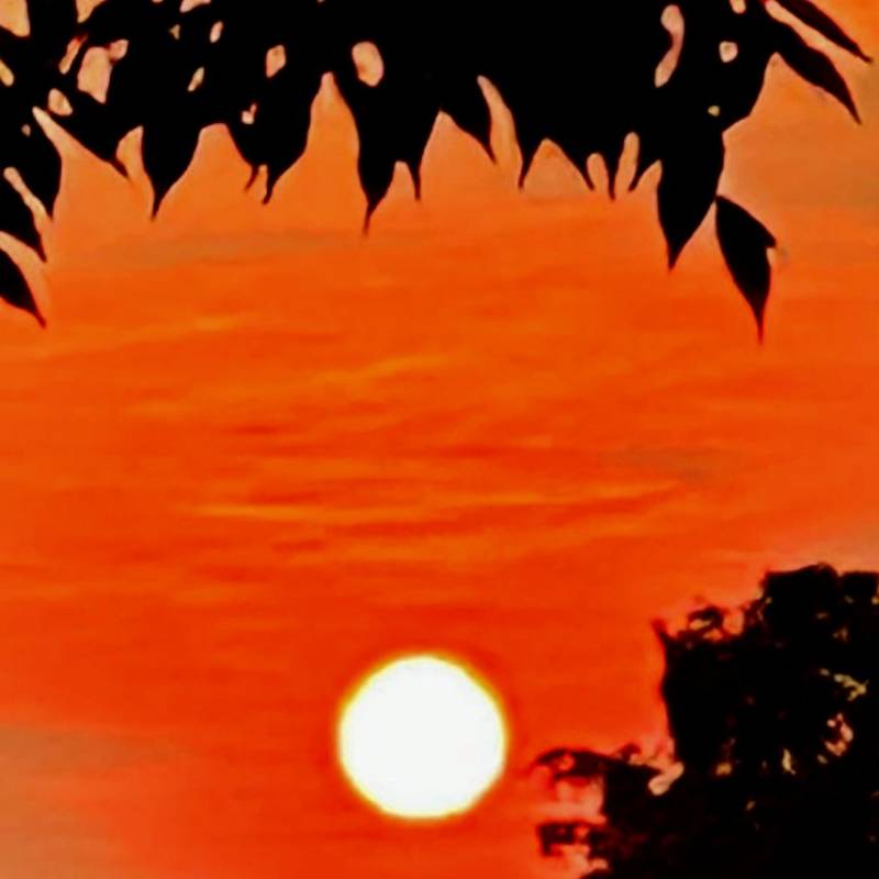 rosso di sera......17062023...